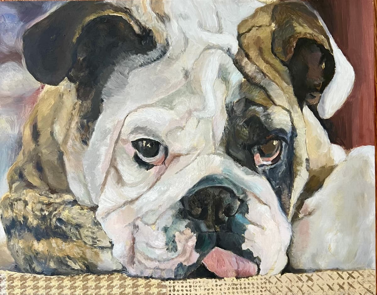 A oil painting of a Bulldog